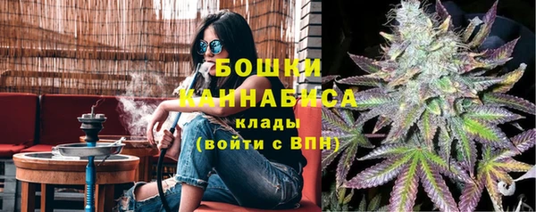 spice Алзамай
