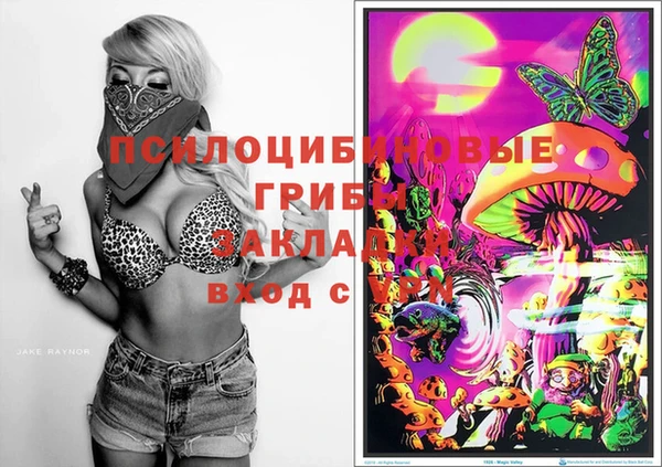 таблы Надым
