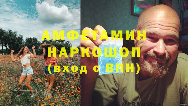 сатива Алексин