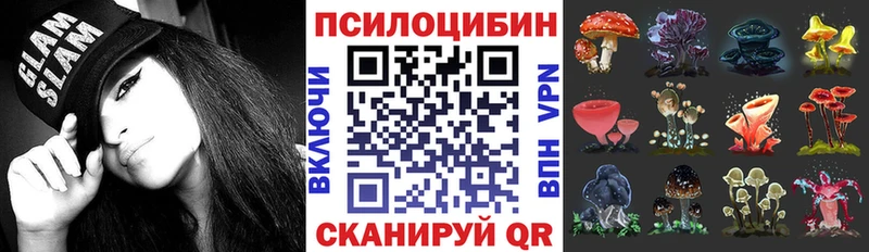 Псилоцибиновые грибы Cubensis  hydra маркетплейс  Троицк  где продают наркотики 